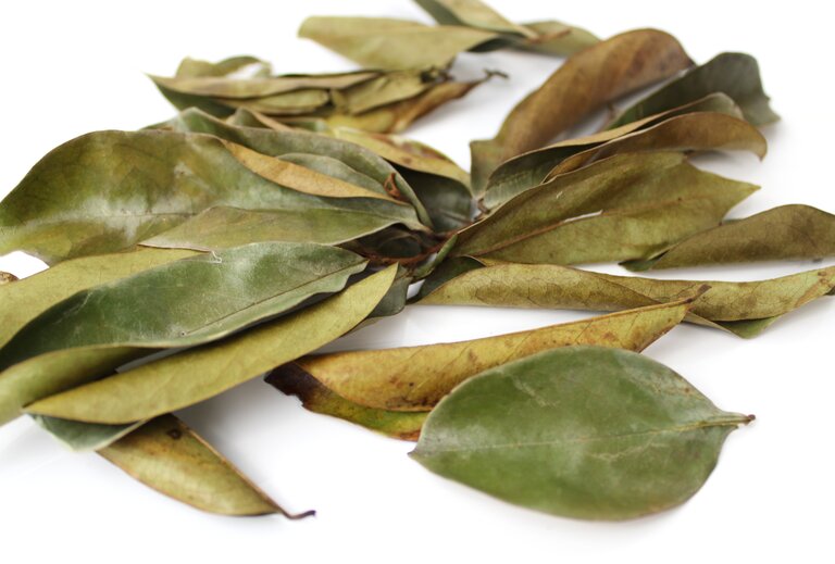 Soursop Leaves